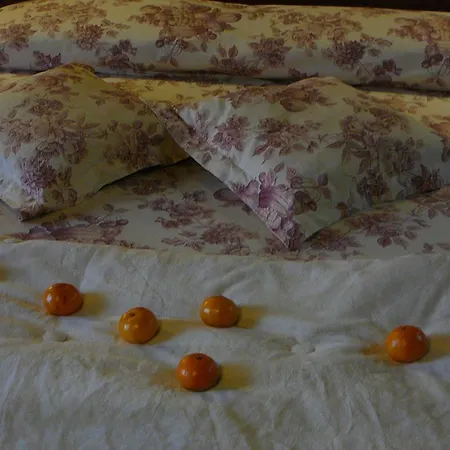Casa D'ivori - Adults Only 2* Creixell